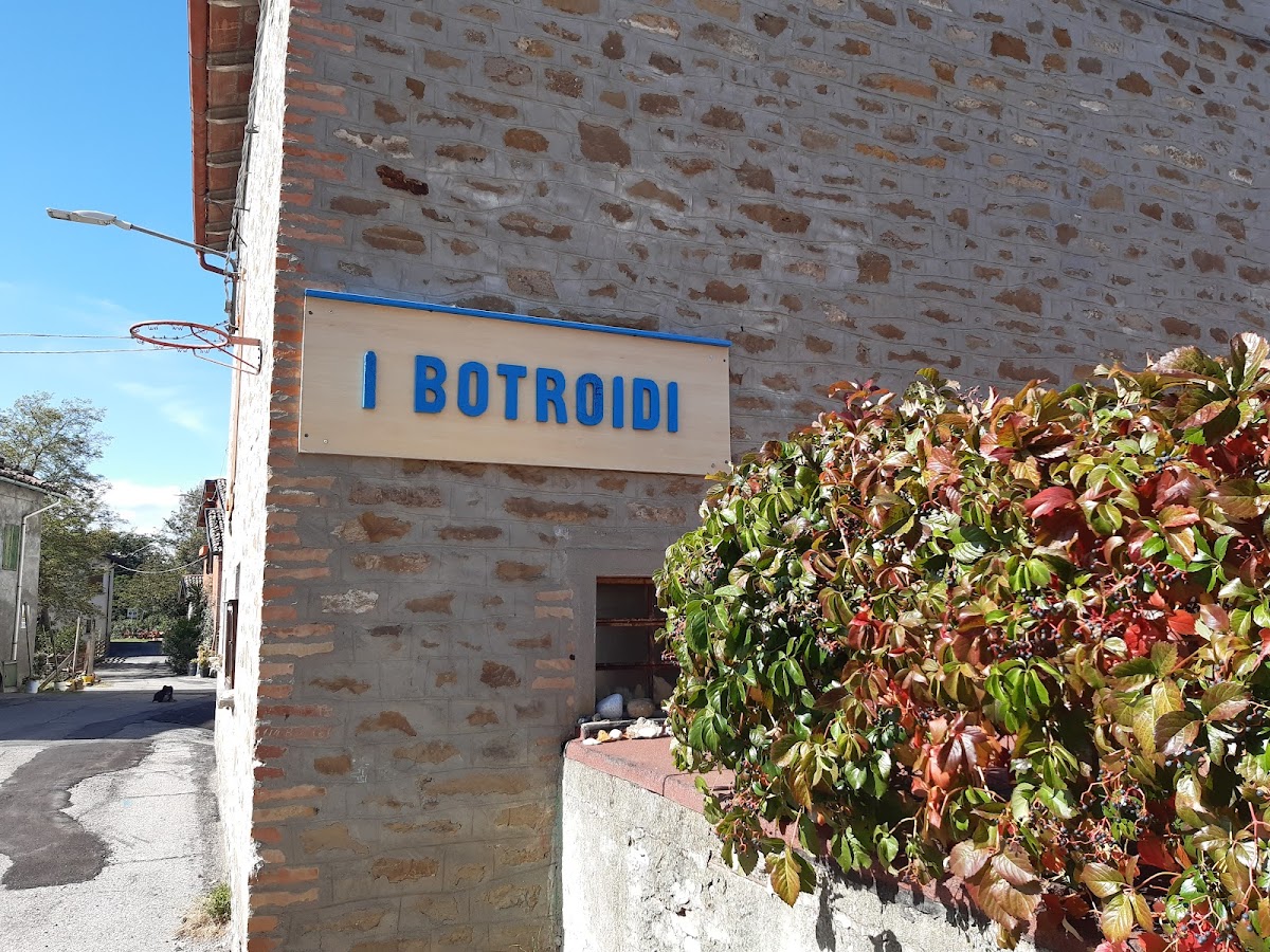 Museo dei botroidi di Luigi Fantini 2