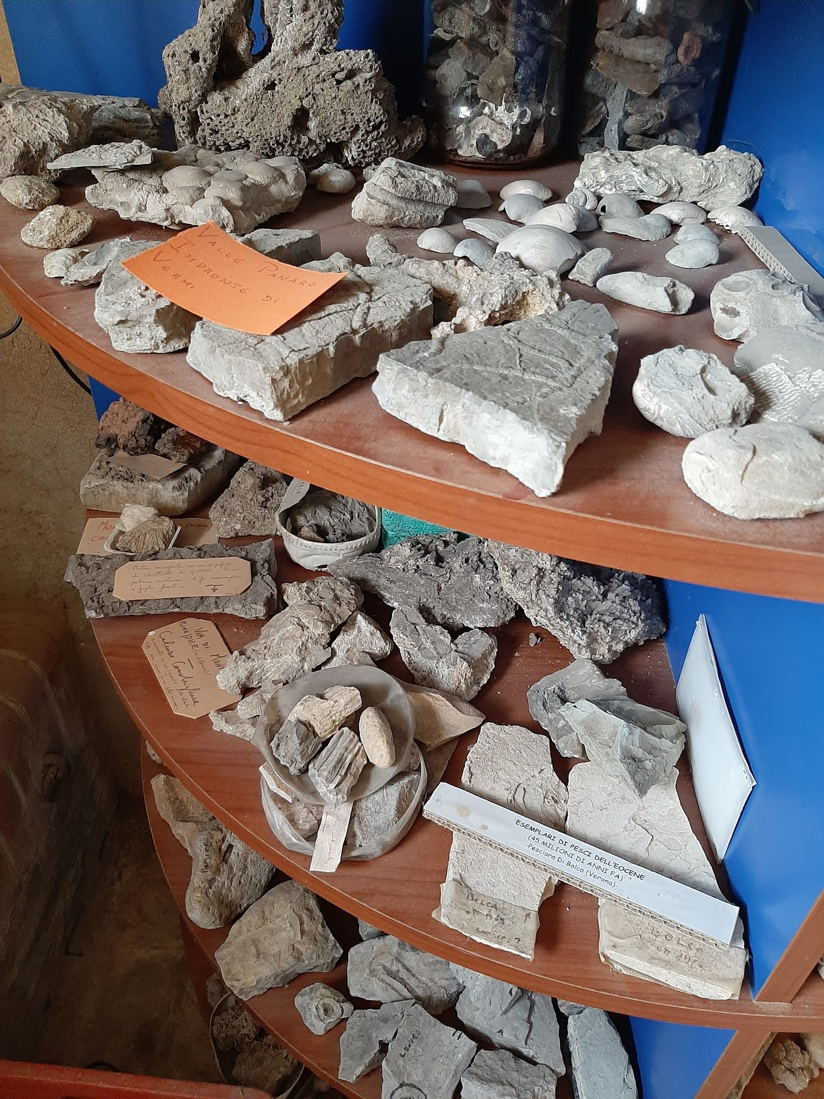 Museo dei botroidi di Luigi Fantini 3