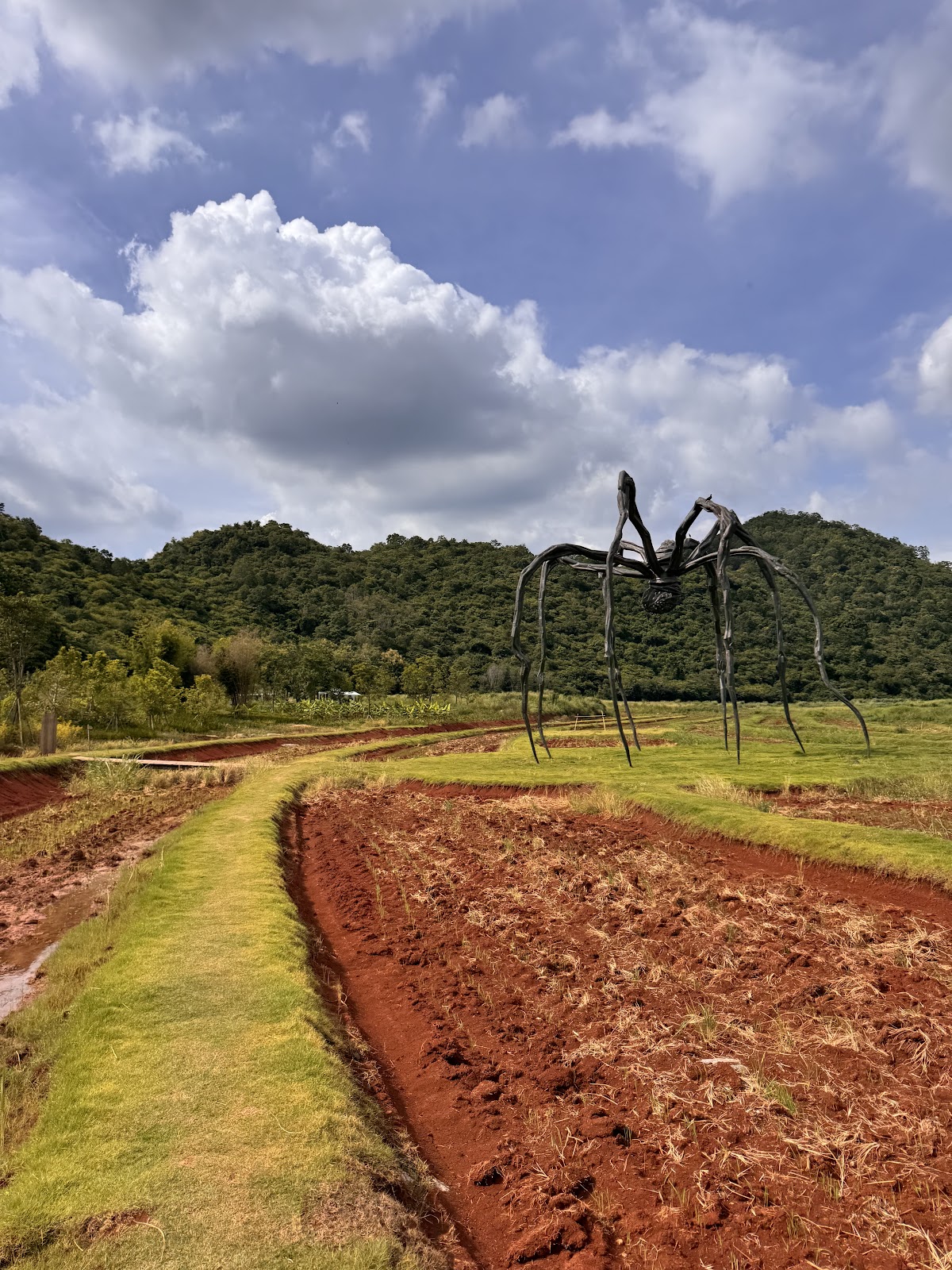 Khao Yai Art Forest 3