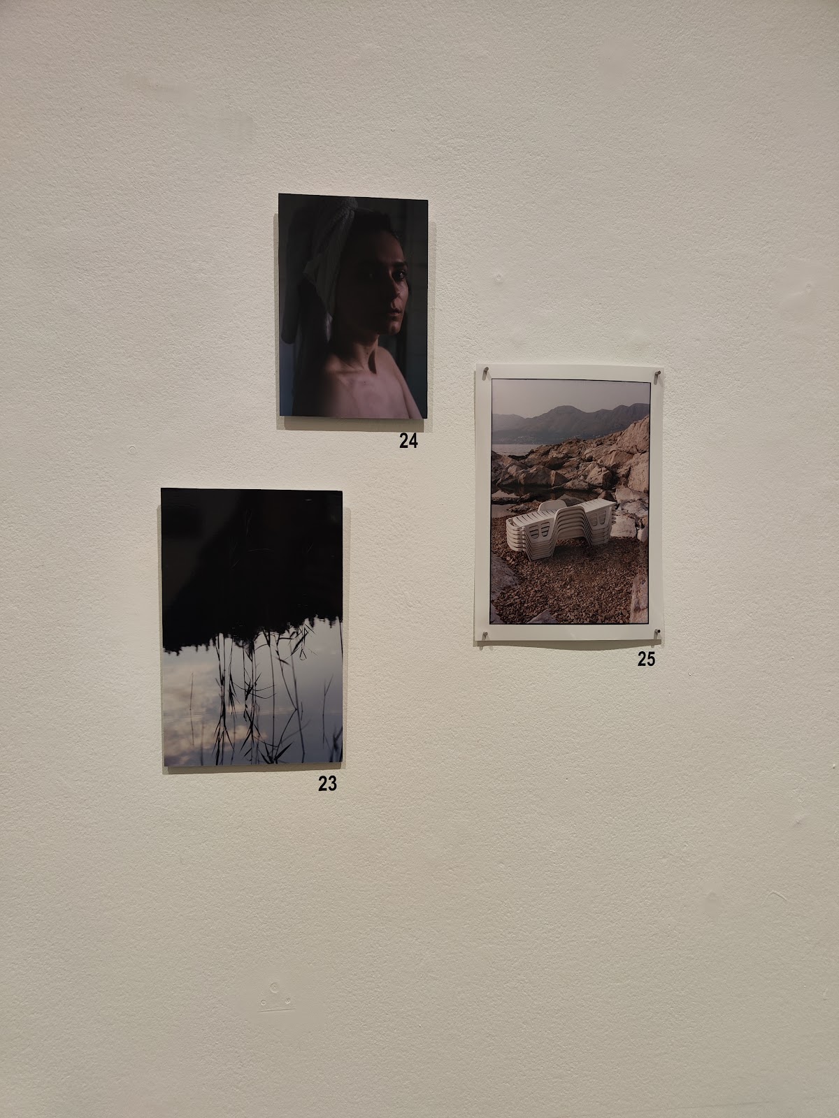 Photographic Gallery Hippolyte 3