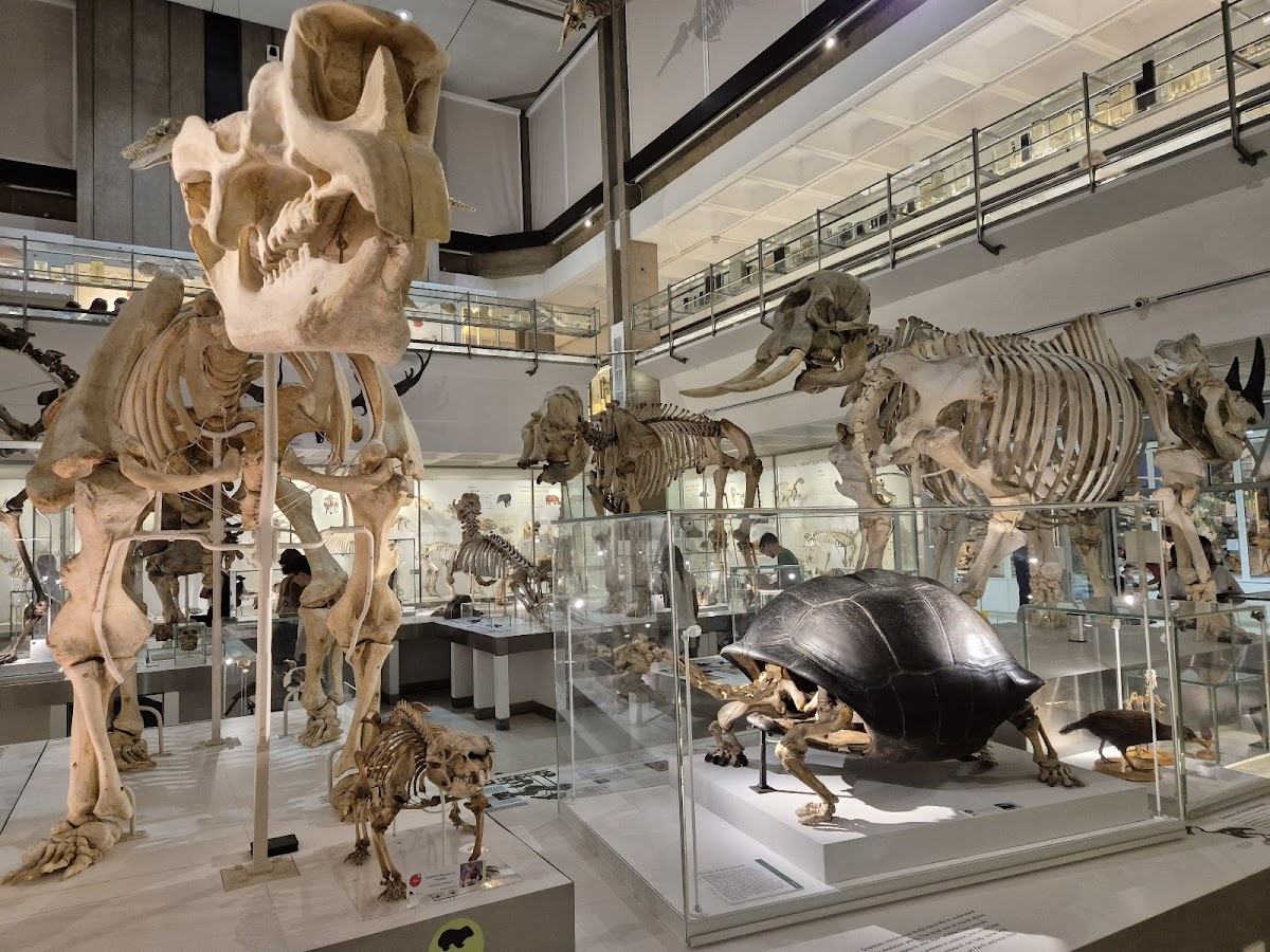 Museum of Zoology 1