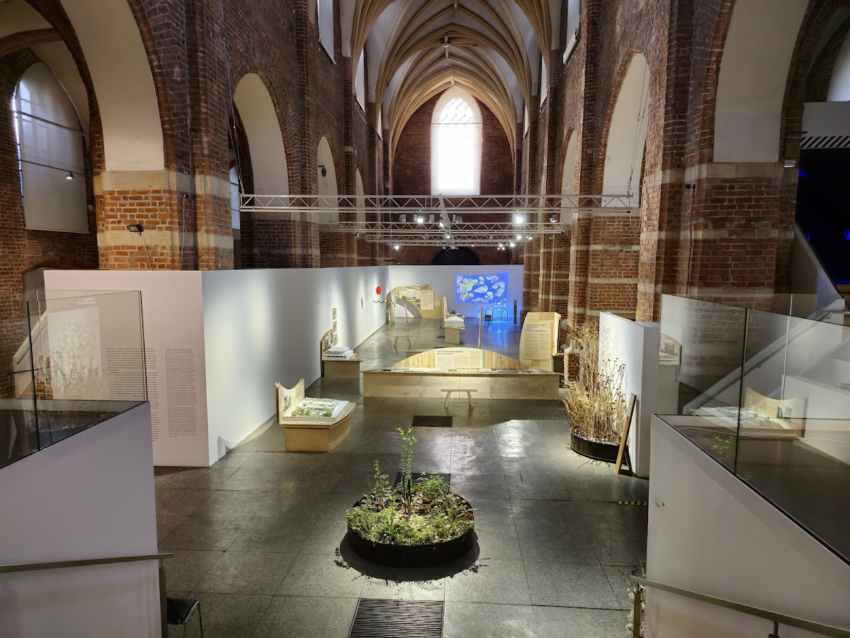 Museum of Architecture in Wrocław 2