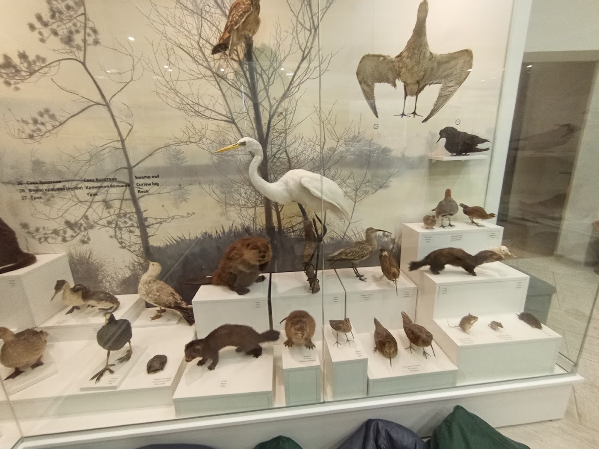 Sluck Homeland Museum 2