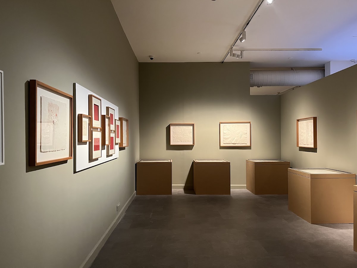 India's First Private Philanthropic Art Museum Mapping South Asian Modern Art